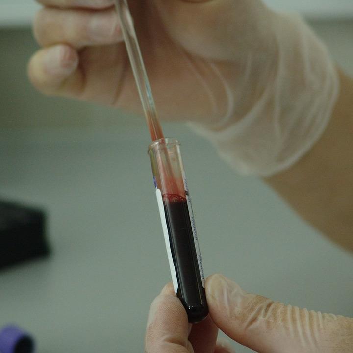 Sangre una en profamilia que de prueba de embarazo cuesta